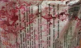 主播二哈被爆料视频大全